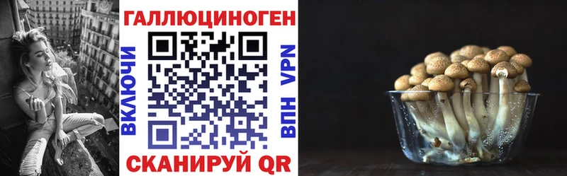 Галлюциногенные грибы Psilocybe  Сафоново 
